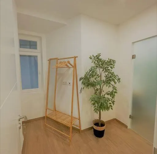 Charming With Pateo - Rituals&routines